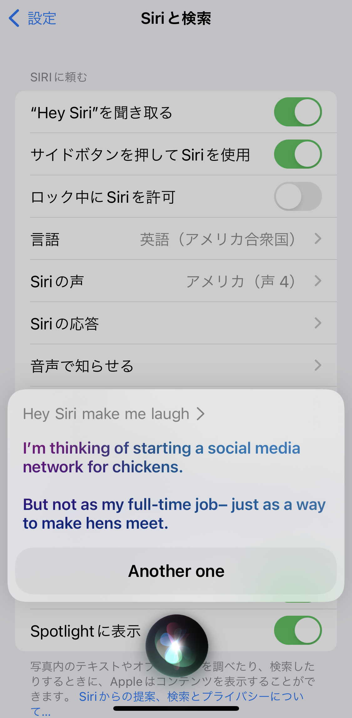 Siriの設定画面と会話内容